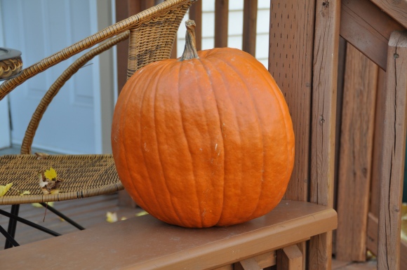 The Partis Quebecois's Great Pumpkin: A solution looking for a problem